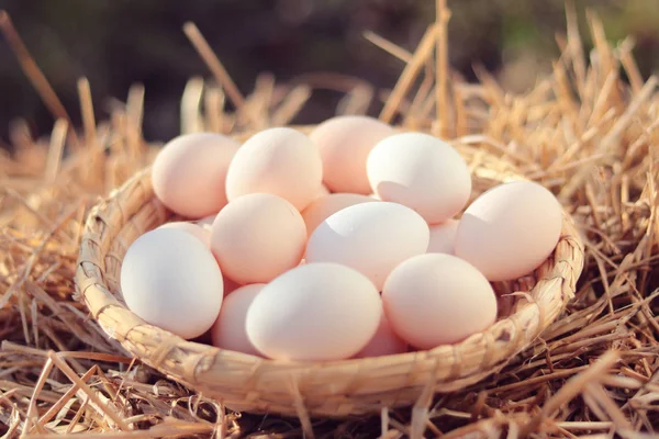 Biologische Eieren Rieten Mand Stro Sunshine Outdoor — Stockfoto