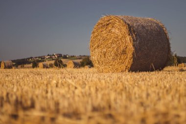 Bir stubble alanında Saman balyaları, arka planda bir köy (Svaty Jan) bir tepe, mavi gökyüzü, altın güneş ışığında manzara üzerinde bir kilise ile