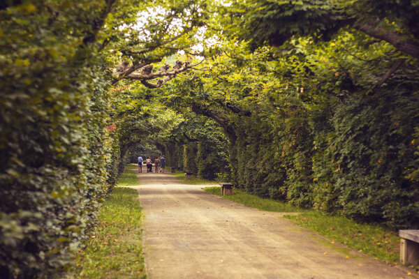 Road through the alley - tree tunnel in park, people in the back (Flower garden in Kromeriz, Czech republic)