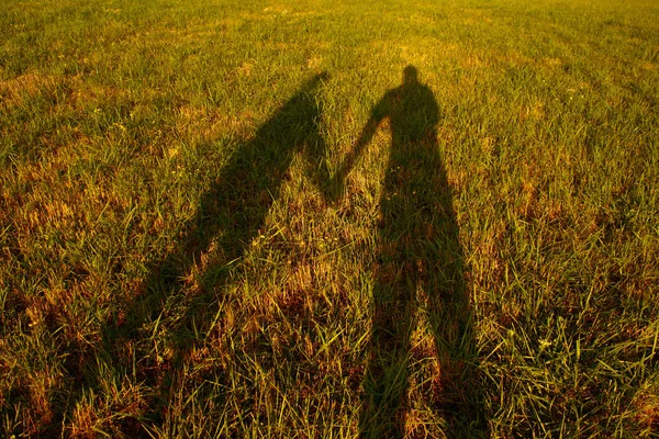 shadow silhouette of couple holding hands on meadow at autumn sunset