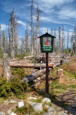 Orman ile Peyzaj - ölü ve düşmüş ağaçlar ve büyüyen genç yaşam ağaçları (ladin), ön planda Milli Park Bohemian Forest (Sumava) işareti, Çek Cumhuriyeti