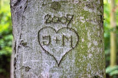 Ağaç gövdesine kazınmış monogramlı bir kalp.