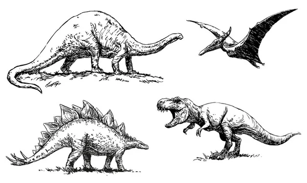 Dinozorlar Brontosaurus Pterodactylus Stegosaurus Tyrannosaurus Beyaz Arka Planda Siyah Beyaz — Stok Vektör