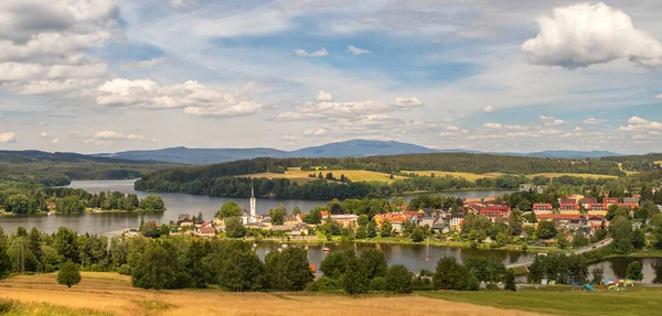 Yaz manzarası, Lipno rezervuarının yakınındaki Frymburk kasabasının vadisinde, ön planda bir çayır. Çek Cumhuriyeti