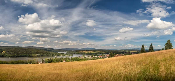 Summer landscape, in the valley of the town of Frymburk near the Lipno reservoir, in the foreground a meadow. Czech republic