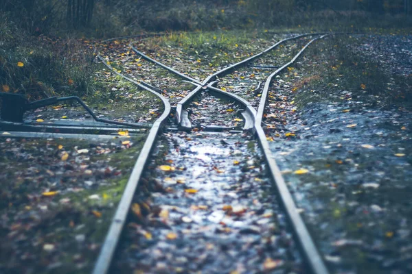 narrow gauge railway - railway turnout - rails in the autumn forest