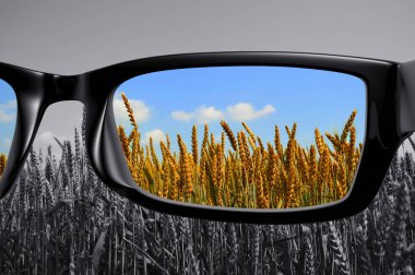 Gözlük alanından renkli görünüm