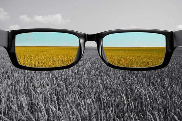 View through glasses field in color