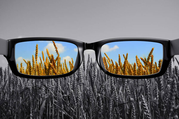 View through glasses field in color