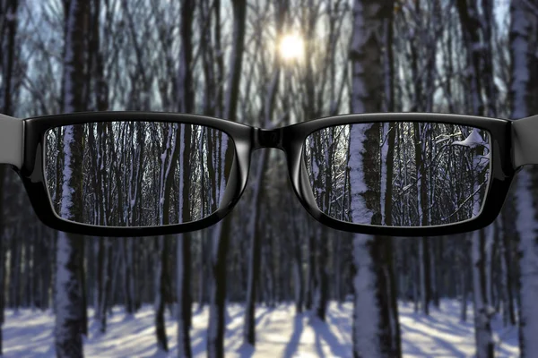 Kijk Door Glazen Natuur Door Middel Van Glazen Goede Scherpte — Stockfoto