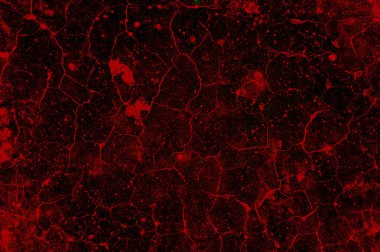 arka plan kırmızı tonda