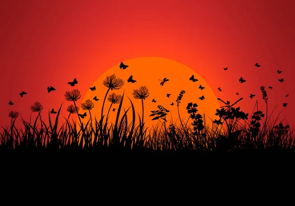 Blumen Auf Dem Hintergrund Eines Schönen Himmels Mit Sonnenaufgang Aus — Stockfoto