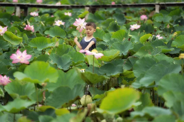 Vietnamesisk Pojke Leker Med Rosa Lotusar Över Den Traditionella Träbåten — Stockfoto