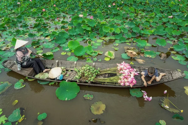 越南男孩和妈妈一起划船 用传统的木船把粉红的莲花保存在越南达普省的塔普穆伊的大湖中 这是一种文化和生活理念 — 图库照片