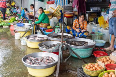 Cai Rang, Vietnam - 11 Ağustos 2018 : Tanımsız Kadın tüccar 11 Ağustos 2018 tarihinde cai limanında geleneksel pazar ile katta satışa çıkan fesh balık, can tho eyaleti, vietnam.