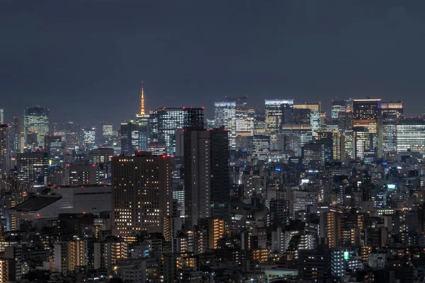 Cidade Tóquio Que Pode Ver Torre Tokyo Longe Tirando Árvore — Fotografia de Stock