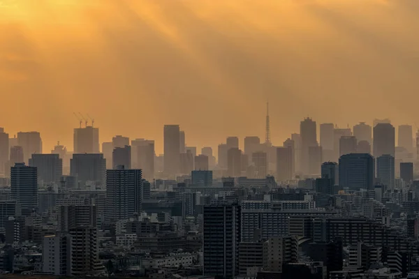 Escena Torre Tokio Localizar Con Varios Paisaje Urbano Edificio Hora —  Fotos de Stock