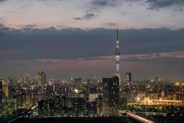 Escena Del Árbol Del Cielo Tokio Sobre Paisaje Urbano Del —  Fotos de Stock