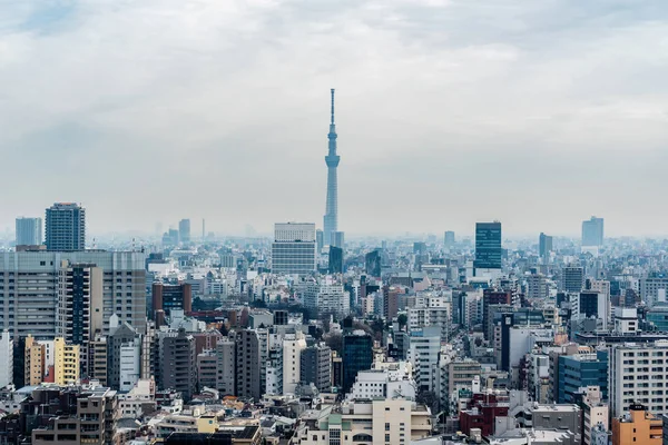 Tokyo Cityscape Die Tokyo Sky Tree Kan Zien Van Bunkyo — Stockfoto
