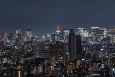 Uzakta kule tokyo görebilirsiniz Tokyo cityscape alarak tokyo gökyüzü ağaç Doğu, Japonya