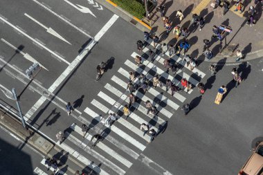Tokyo, Japonya - Şubat 2019: Yayalar kalabalık tanımlanmamış insan Üstgeçit yürüyüş üstten görünüm sokak kavşak çapraz-yürüyüş güneş dat Tokyo ile Şubat 16, 2019, Tokyo, Japonya