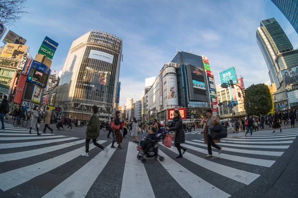 2019 사람과 자동차의 Fisheye Pedestrains 교차로 크로스 시부야 트래픽 일본에서 — 스톡 사진