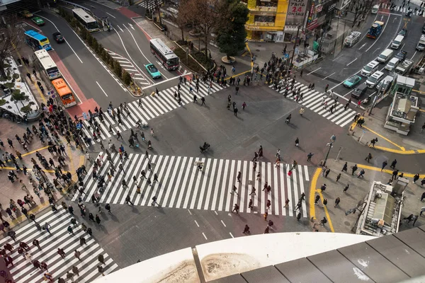 Токіо Японія 2019 Лютого Undefined Людей Автомобіль Натовп Areial Зору — стокове фото