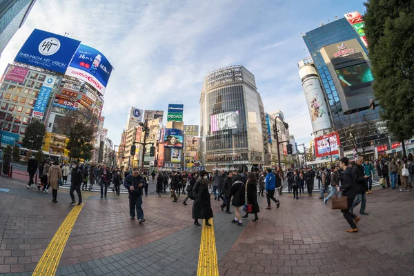 Tokio Japón Feb 2019 Turistas Japoneses Extranjeros Indefinidos Caminan Por —  Fotos de Stock