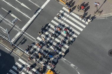 Tokyo, Japonya - Şubat 2019: Yayalar kalabalık tanımlanmamış insan Üstgeçit yürüyüş üstten görünüm sokak kavşak çapraz-yürüyüş güneş dat Tokyo ile Şubat 16, 2019, Tokyo, Japonya