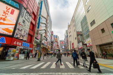 Tokyo, Japonya - Şubat 2019: yayalar kalabalık tanımsız insanlar Üstgeçit yürüyüş sokak kavşak çapraz-yürüyüş Akihabara içinde Şubat 13, 2019 Tokyo,Japan.culture ve elektrik şehir alışveriş alanı