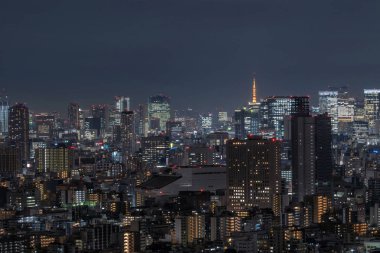 Uzakta kule tokyo görebilirsiniz Tokyo cityscape alarak tokyo gökyüzü ağaç Doğu, Japonya