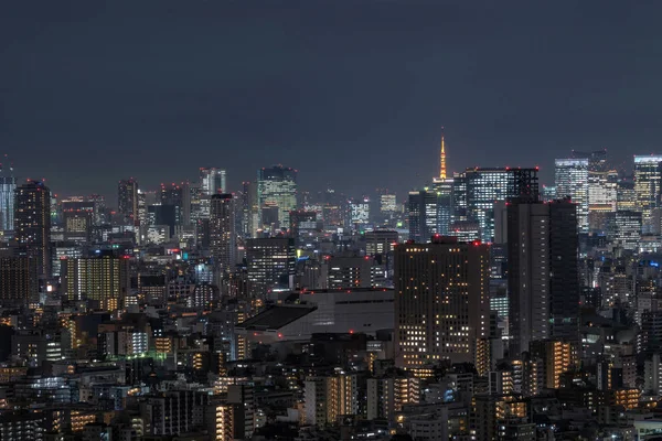 Cidade Tóquio Que Pode Ver Torre Tokyo Longe Tirando Árvore — Fotografia de Stock