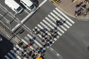 Tokyo, Japonya - Şubat 2019: Yayalar kalabalık tanımlanmamış insan Üstgeçit yürüyüş üstten görünüm sokak kavşak çapraz-yürüyüş güneş dat Tokyo ile Şubat 16, 2019, Tokyo, Japonya