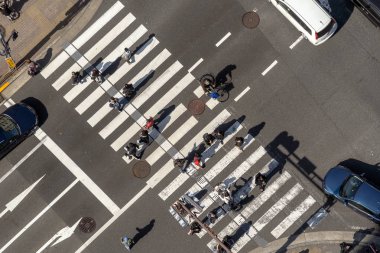 Tokyo, Japonya - Şubat 2019: Yayalar kalabalık tanımlanmamış insan Üstgeçit yürüyüş üstten görünüm sokak kavşak çapraz-yürüyüş güneş dat Tokyo ile Şubat 16, 2019, Tokyo, Japonya