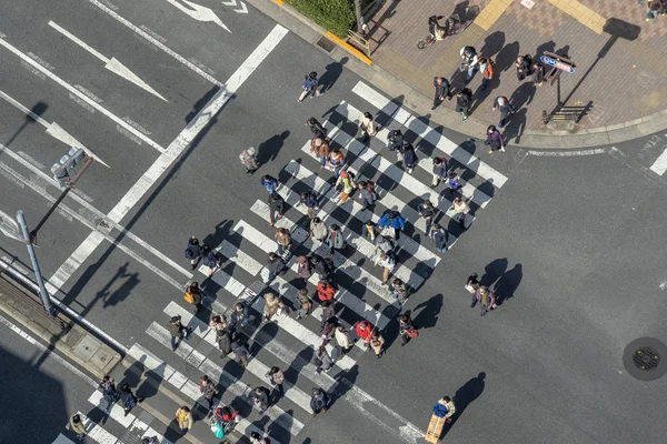 Tokyo, Japonya - Şubat 2019: Yayalar kalabalık tanımlanmamış insan Üstgeçit yürüyüş üstten görünüm sokak kavşak çapraz-yürüyüş güneş dat Tokyo ile Şubat 16, 2019, Tokyo, Japonya