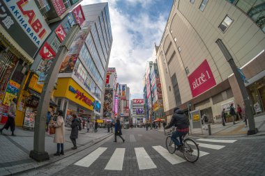 Tokyo, Japonya - Şubat 2019: yayalar kalabalık tanımsız insanlar Üstgeçit yürüyüş sokak kavşak çapraz-yürüyüş Akihabara içinde Şubat 13, 2019 Tokyo,Japan.culture ve elektrik şehir alışveriş alanı
