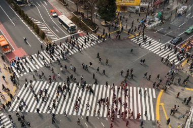Tokyo, Japonya - Şubat 2019: Tanımsız insanlar ve araba kalabalık areial görünümü pedestrains kavşak çapraz yürüme Shibuya yaya geçidi araba trafik anda öğleden sonra üzerinde Şubat 14, 2019, Tokyo, Japonya.