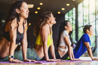 Yoga, sağlıklı ya da meditasyon egzersizleri yapan, yukarı bakan köpek egzersizleri yapan, spor sutyen ve pantolon giyen, spor ve sağlık sigortası konsepti olan bir grup çeşitlilik.,