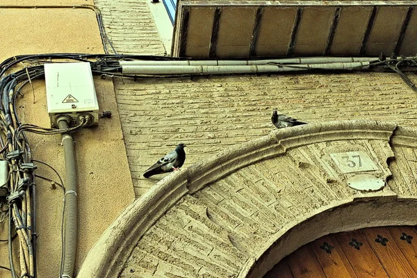 Dois Pombos Empoleirados Acima Entrada Casa Arrendamento Entrada Antiga Contrasta — Fotografia de Stock