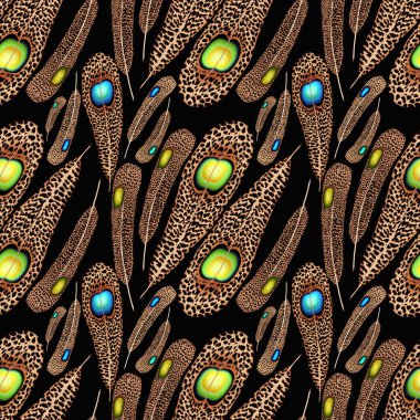 Malezya Tavus Kuşu Sülün 