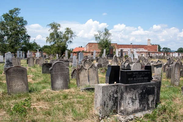 Карлові Вари Чеська Республіка Червня 2018 Надгробків Старе Єврейське Кладовище — стокове фото
