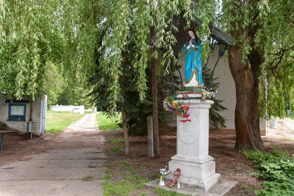 Статуя Божией Матери Среди Листвы Источника Воды Возле Литовеля Чехия — стоковое фото