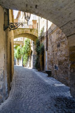 Köprüler Altında Taş ve Tuğla Yol