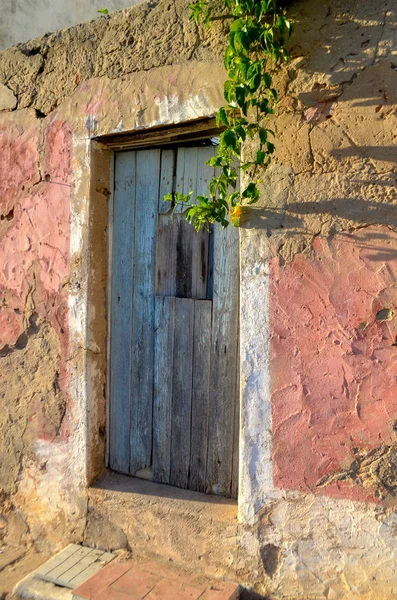 Portão Madeira Azul Contra Uma Parede Rosa Marrom Com Planta — Fotografia de Stock