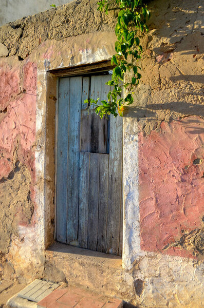 Blue Wooden Doorway against a Pink and Brown Wall with Hanging Plant