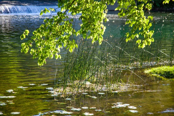 Grüner Zugang Zum Fluss Vipava Ufer Des Flusses Vipava Bei — Stockfoto