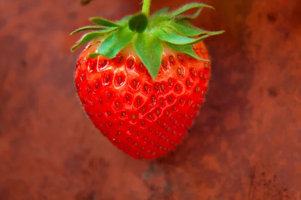 Makrofoto Der Hängenden Reifen Erdbeere Auf Terrakottahintergrund — Stockfoto
