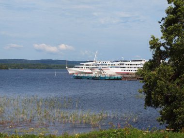 Gölde doğa. Yaz güneşli gün