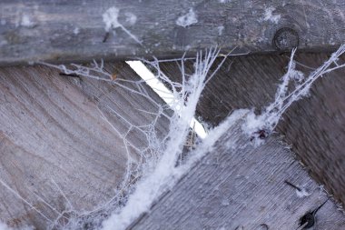 Kış dağlar dondurulmuş ağaçta. Ağaçlar kar kaplı. Kış frost orman. Yakın çekim