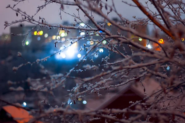 Soyut ateş arkasında ışık şube whith şehir gece